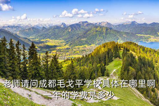 成都毛戈平化妝學校學費，去毛戈平老師學校學化妝要多少錢啊...